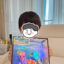 둥실공작소 | 바우처] 내 손으로 만든 바닷속이 반짝반짝 빛나요 🐠 미니 아쿠아리움 만들기 🫧 활동사진 ㅣ생각공작소