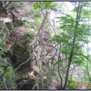 성재산성 이미지