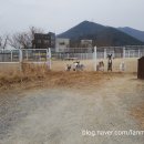 개놀자까페 이미지