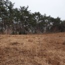 남해농장 이미지