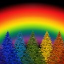 무지개가 피어나는 이미지