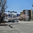 돌고개역 2번 출구 이미지