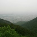 안일사앞 Daum카페