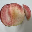 산마루농장 이미지