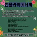 썬플라워 태양광발전소 이미지