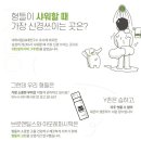 위트브로 이미지