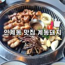 세븐일레븐 수원 구운점 | [수원 인계동 맛집] 직접 구워주는 인계동 회식 맛집 &#39;계동돼지&#39;
