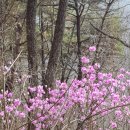 병천 천 환종주 개통산행 이미지