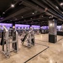 스파리스 이미지