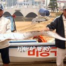 고려고등학교 이미지