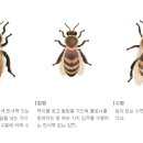 여왕벌 - 통영시 정동2길 27 | 여왕벌
