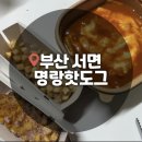 명랑핫도그서면롯데점 | [부산 서면] 명랑핫도그 럭키치즈떡볶이 배달 후기