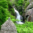 양지-2774 이미지