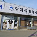 양지종합동물병원 이미지