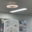 에어라트론 실링팬 장단점 신일 선택해본 후기