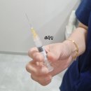 김앤박내과의원 | 백일해 예방접종 성인 주사 가격 후기