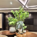 세븐호텔 | 더 플라자 세븐스퀘어 뷔페 후기 | 중식이 강점인 호텔 뷔페