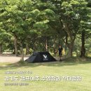 경기도 캠핑장 캠프여주, 수영장과 잔디광장이 있는 서울근교 캠핑장 추천