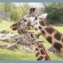 대학농장 이미지