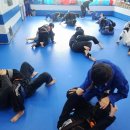 합기도&스카이 영종 GYM | 주짓수 OPEN MAT