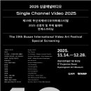 비디오채널