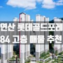 푸른별부동산중개사무소 이미지