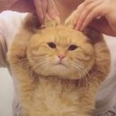 키멍 Daum카페