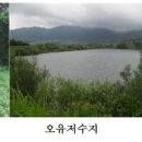 동막동(1) 이미지