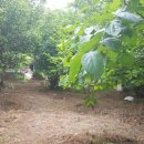 고금면-1 이미지