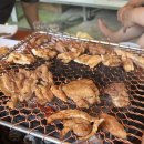 팽나무 민박 이미지