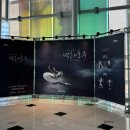 유니버셜 발레단 백조의호수 관람 후기 - 오데트 강미선 수석무용수