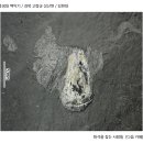 식물(솔방울 비늘) 화석 [중생대 백악기 / 경북 고령군 성산면 / 김현대] 이미지