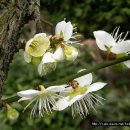 영주장례식장 이미지