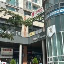 원크린본점 | 다이소 위례본점 쇼핑 : 차량 정리함, 보관용기, 다용도수납함, 초파리트랩, 알카라인건전지