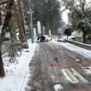 남조로수망교차로 1 이미지