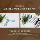 꿀단지옷장