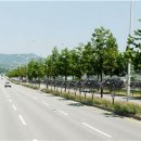 청주 제2순환로 이미지