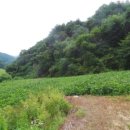 원통초등학교신덕분교장 이미지