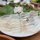 싱싱채운