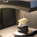 자연치과기공소 이미지