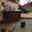 낭만 홍'S 이미지