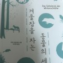 겨울잠을 자는 동물의 세계 / 리자 바르네케 著 이미지