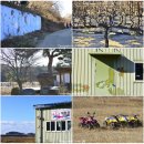 대부해솔길 6코스/안산 대부도 여행/경기도 가볼만한 곳