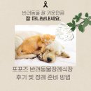 포포즈 반려동물장례식장 화성점 티스토리