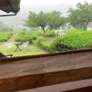 391 스테이 | 늦은 하동여행후기 : 하동숙소추천 인생 감성숙소 만난 내돈내산 후기🫵🏻 [ 스테이하동 ]🏡