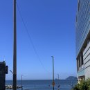 주정차단속-62 | 부산 해운대 맛집 &#39;참가자미 미포 엘시티점&#39; 부모님도 만족하신 곳