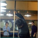 당구쟁이들 Daum카페