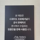 아포 | 대전 둔산동 레이어드펌 아포헤어 후기