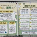 🌰6월 5일 환경의 날 초곡에서 초록하기 대나무 칫솔 바꾸기 캠페인 생생한 후기 🌱