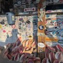 스쿠버다이버의집 | 헤드 샤크)와 널스 샤크와 프리다이빙, 스쿠버 다이빙 그리고.. 레스큐 하다..! 투어 후기 (스압 주의)